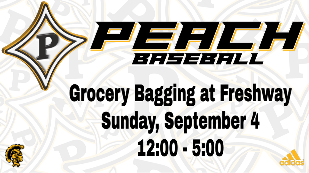 Baseball fundraiser at Freshway on Sunday from 12:00 - 5:00
