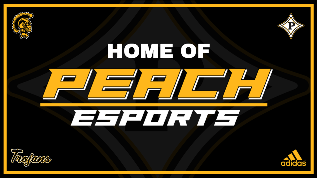 Welcome to the Peach County eSports home page.